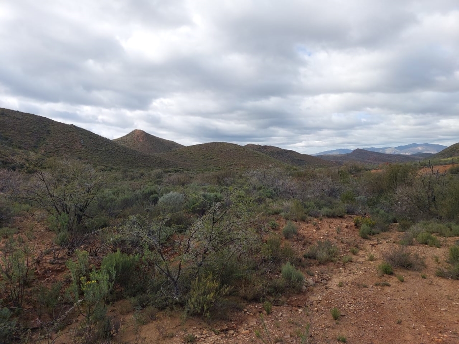 7 Bedroom Property for Sale in Ladismith Rural Western Cape